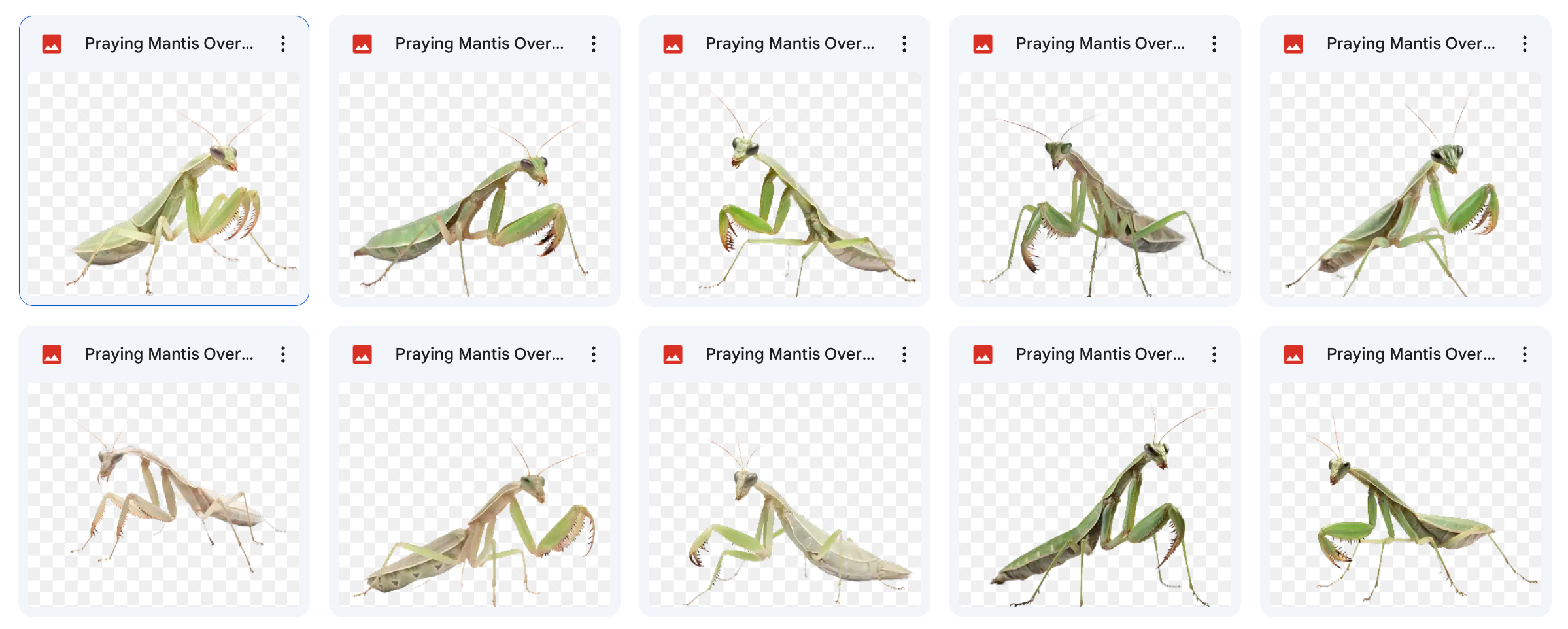 Little BIG World Mega Bundle - Meg Bitton Productions