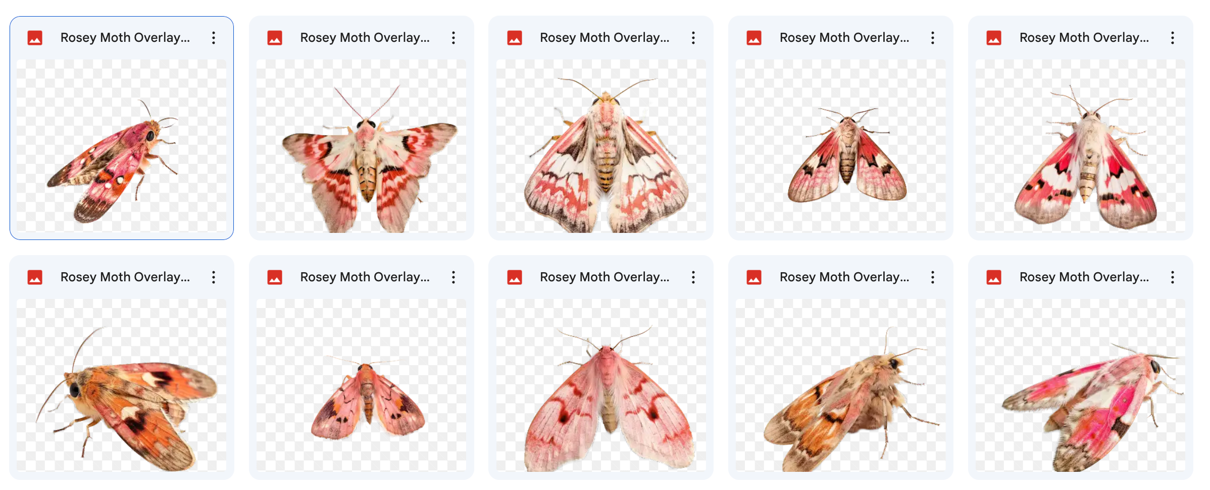 Little BIG World Mega Bundle - Meg Bitton Productions