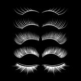 Magical Glamour Eyelash Brush Set - Meg Bitton Productions