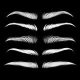 Magical Glamour Eyebrows Brush Set - Meg Bitton Productions