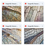 Magical Dragonfly Textures