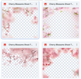 Cherry Blossoms Shoot Through Bundle