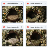 Easter Newborn Basket Background Bundle