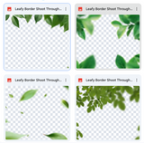 Leafy Borders Shoot Through Bundle