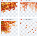 Autumn Shoot Through Bundle