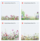 Spring Flowers Shoot Through Bundle