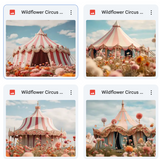 Wildflower Circus Background Bundle