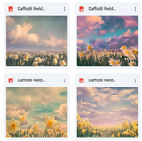 Daffodil Fields Background Bundle