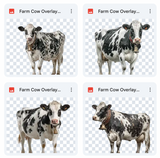 Magical Farm Cow Overlays