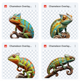 Magical Chameleon Overlays
