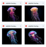 Magical Jellyfish Overlays