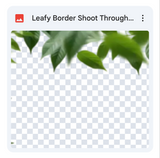 Leafy Borders Shoot Through Bundle
