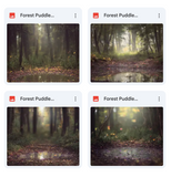 Forest Puddle Background Bundle