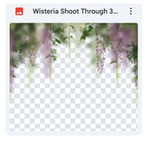 Wisteria Shoot Through Bundle