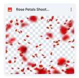 Valentine Shoot Through Bundle