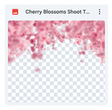 Cherry Blossoms Shoot Through Bundle