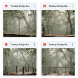 Treetop Bridge Background Bundle