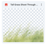 Tall Grass Shoot Through Bundle
