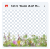 Spring Flowers Shoot Through Bundle