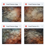 Magical Fossil Textures