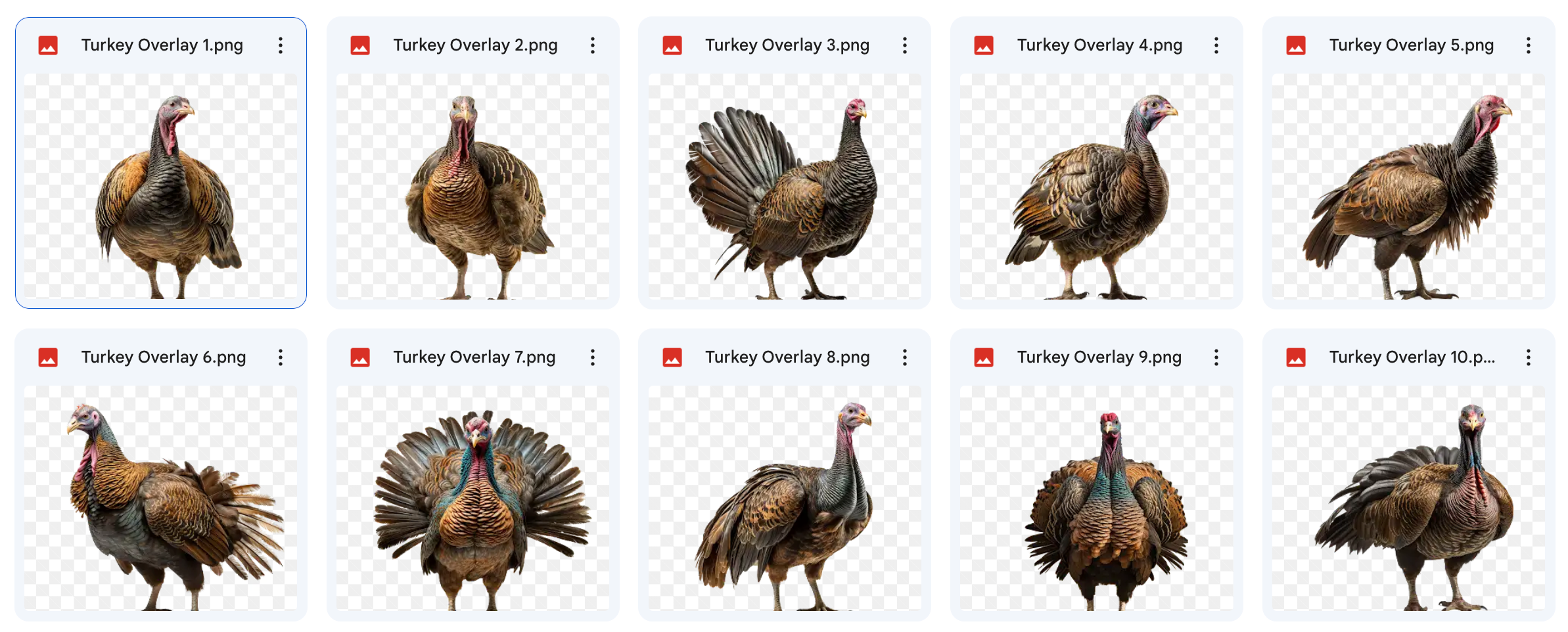 Harvest Mega Bundle - Meg Bitton Productions