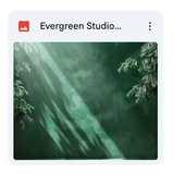 Evergreen Studio Background Bundle