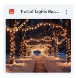 Trail of Lights Background Bundle