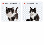 Magical Black & White Kitten Overlays