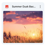 Summer Dusk Background Bundle