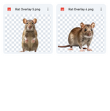 Magical Rat Overlays