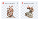 Magical Little Bunny Model Overlays