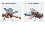 Magical Saddled Dragonfly Overlays
