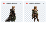 Magical Dragon Tamer Model Overlays