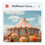 Wildflower Circus Background Bundle