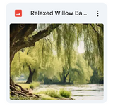 Relaxed Willow Background Bundle
