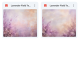 Magical Lavender Fields Textures