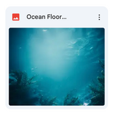 Ocean Floor Background Bundle