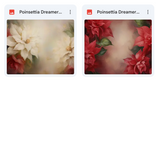 Magical Poinsettia Dreamer Textures