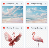 Flamingo Background, Overlay, Texture & Brush Kit