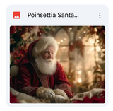 Poinsettia Santa Background Bundle