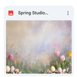 Spring Studio Background Bundle