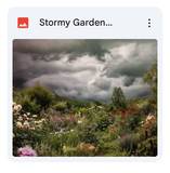 Stormy Garden Background Bundle