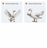 Magical Goose Overlays