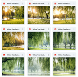 Ultimate Willow Tree Background Bundle