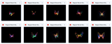 Magical Vibrant Glowing Butterfly Overlays - Meg Bitton Productions