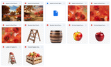 The Apple Orchard Kit - Meg Bitton Productions
