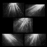 Snowy Light Rays Brush Set