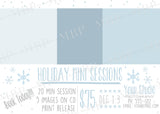 Holiday Mini Session Template #10