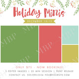 Holiday Mini Session Template #9