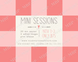 Mini Session Template #4
